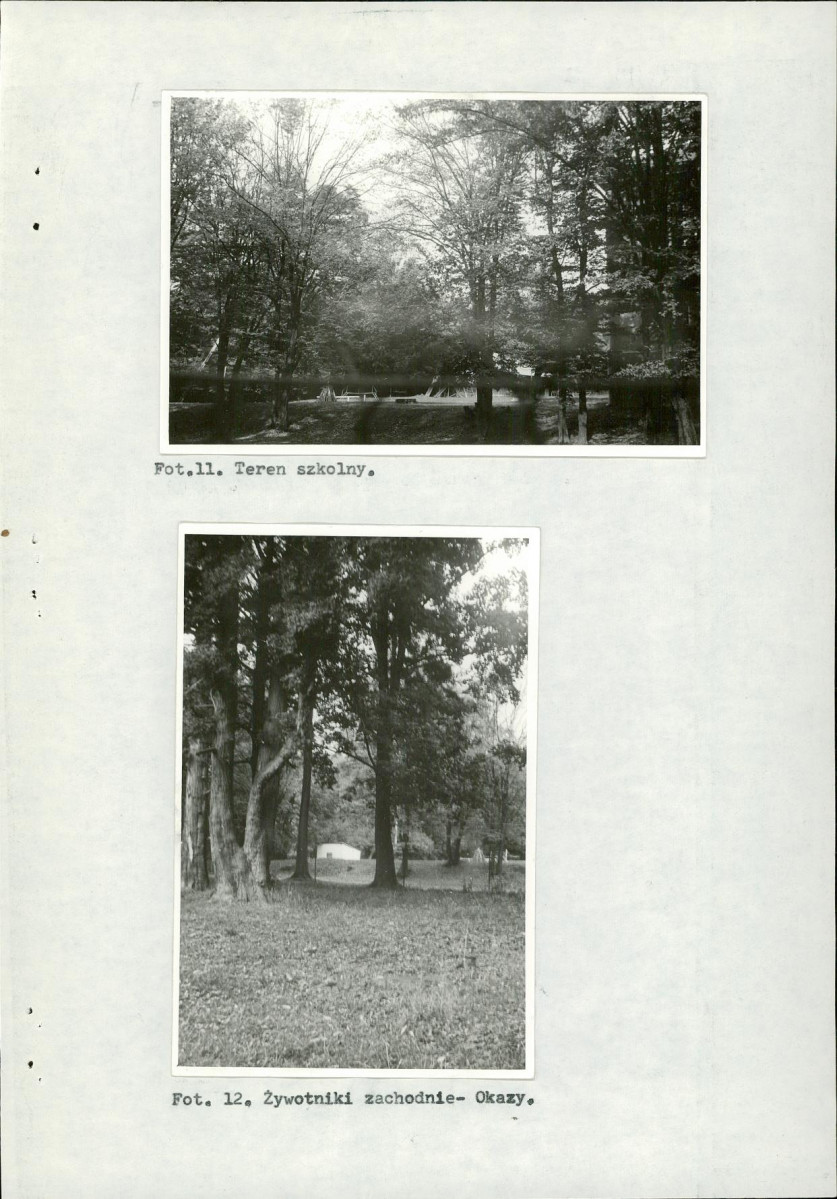 EP - Ewidencja parkowa, skan nr 40