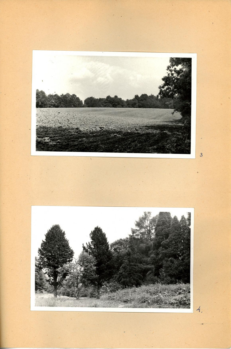 Ewidencja parkowa, skan nr 22