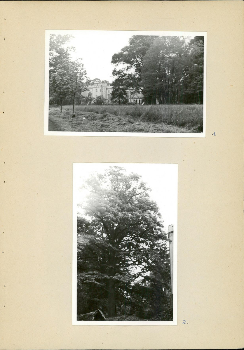Ewidencja parkowa, skan nr 26