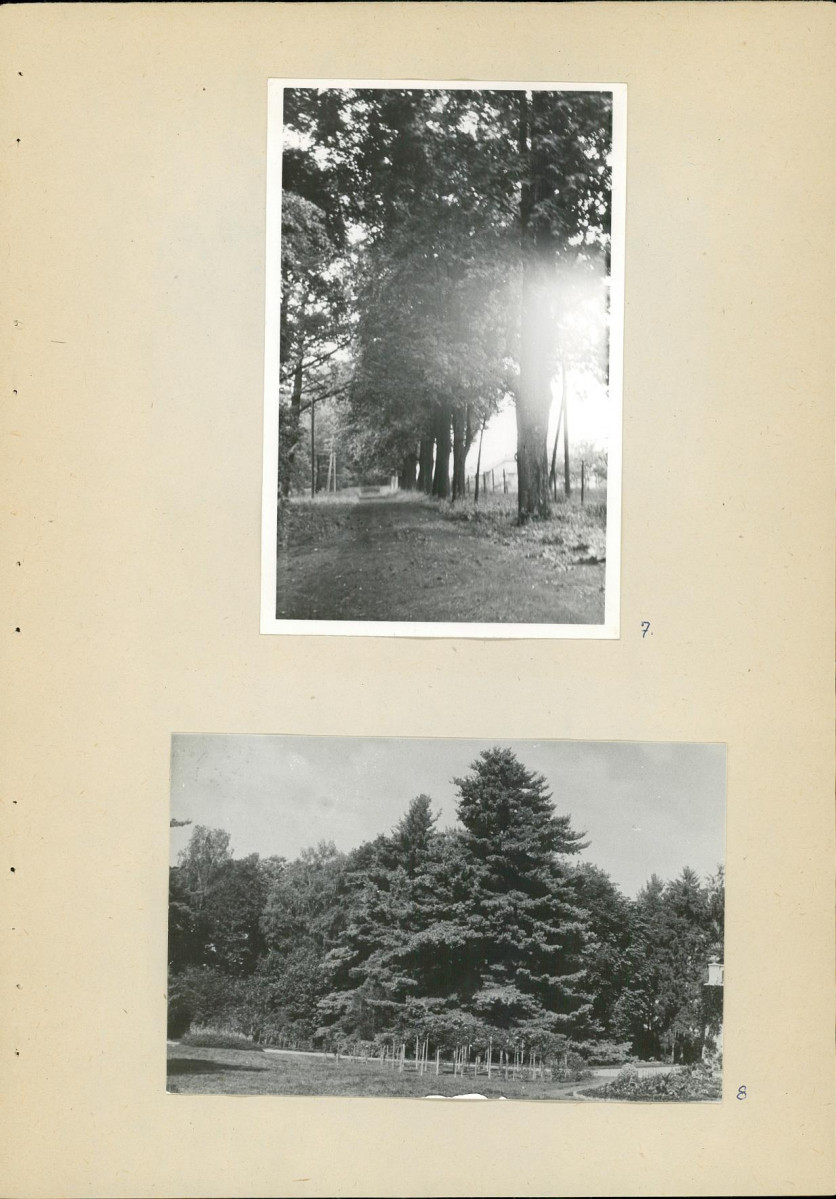 Ewidencja parkowa, skan nr 29