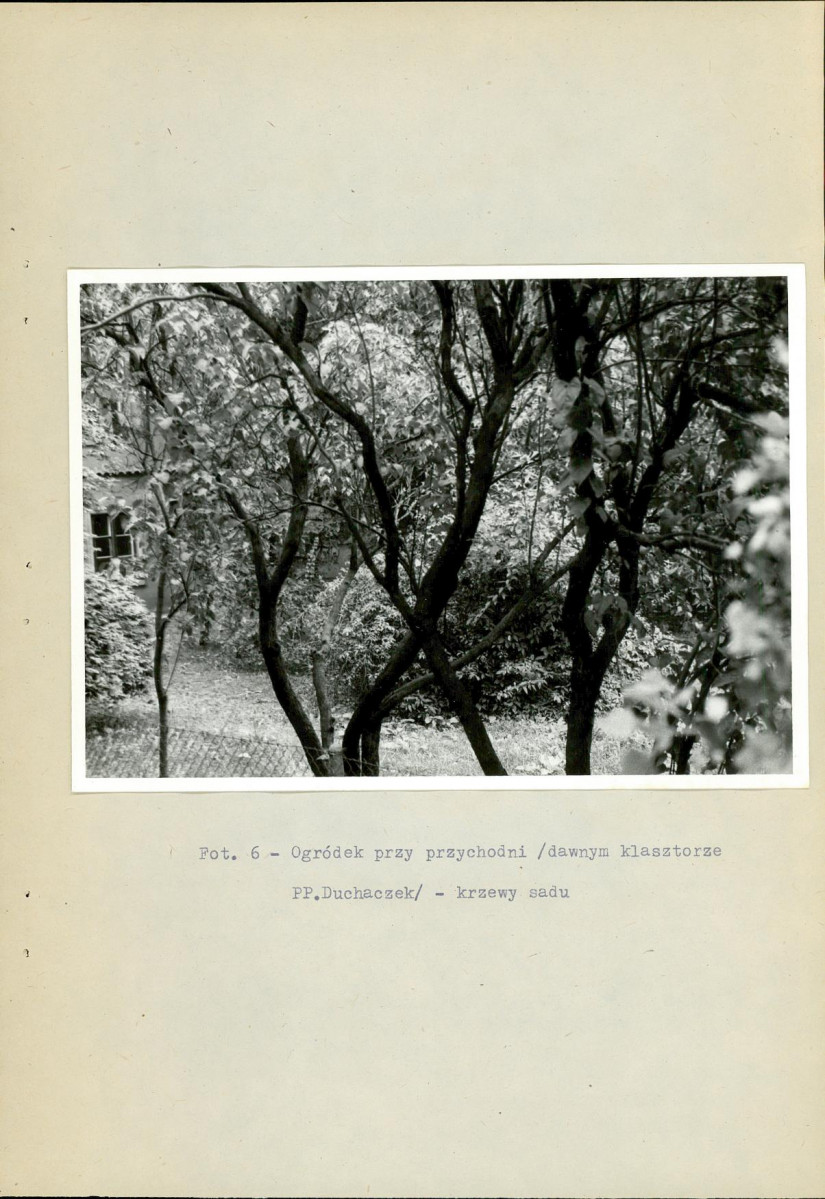 Ewidencja parkowa, skan nr 48