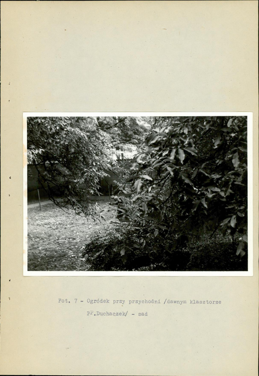 Ewidencja parkowa, skan nr 49