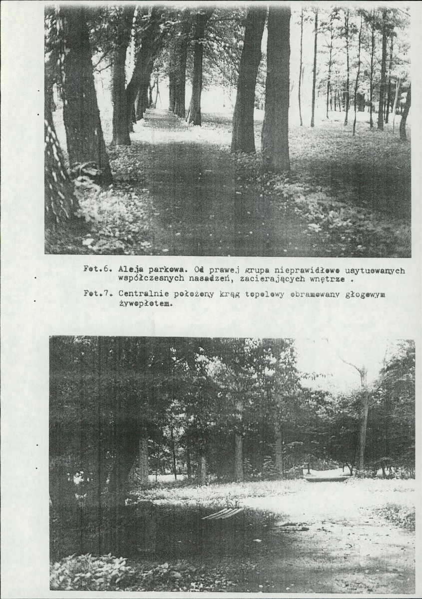Ewidencja parkowa, skan nr 36