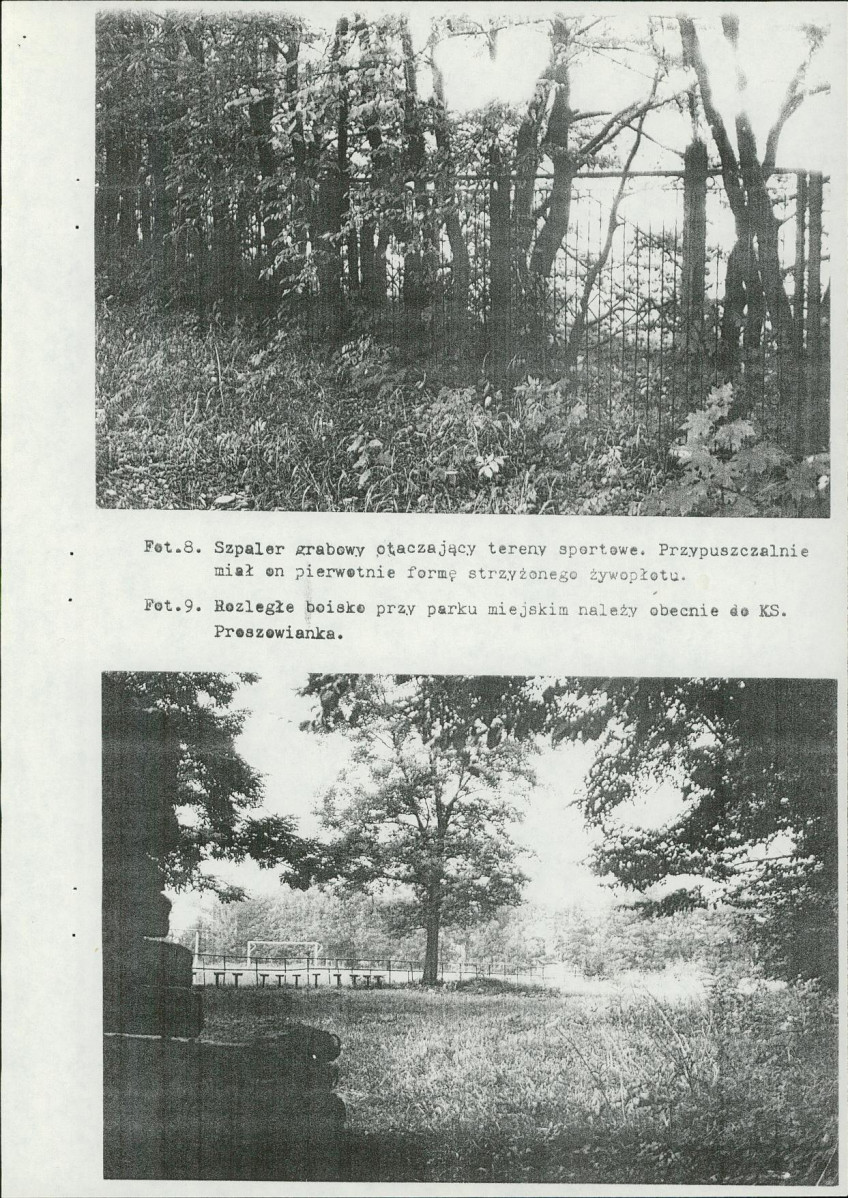 Ewidencja parkowa, skan nr 37