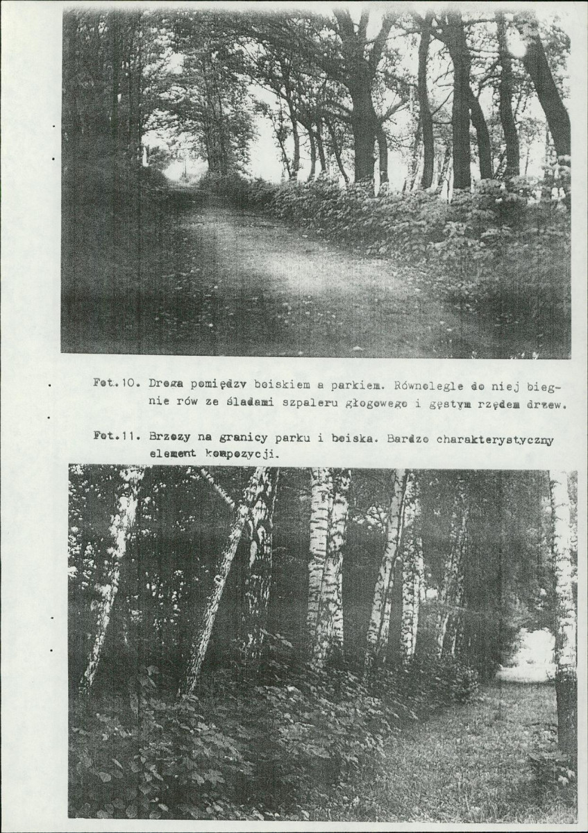 Ewidencja parkowa, skan nr 38