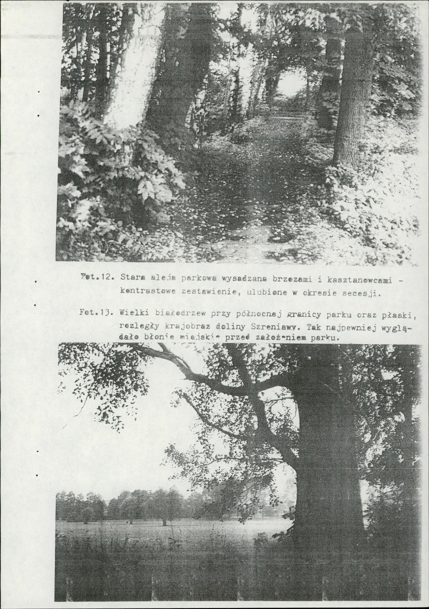 Ewidencja parkowa, skan nr 39