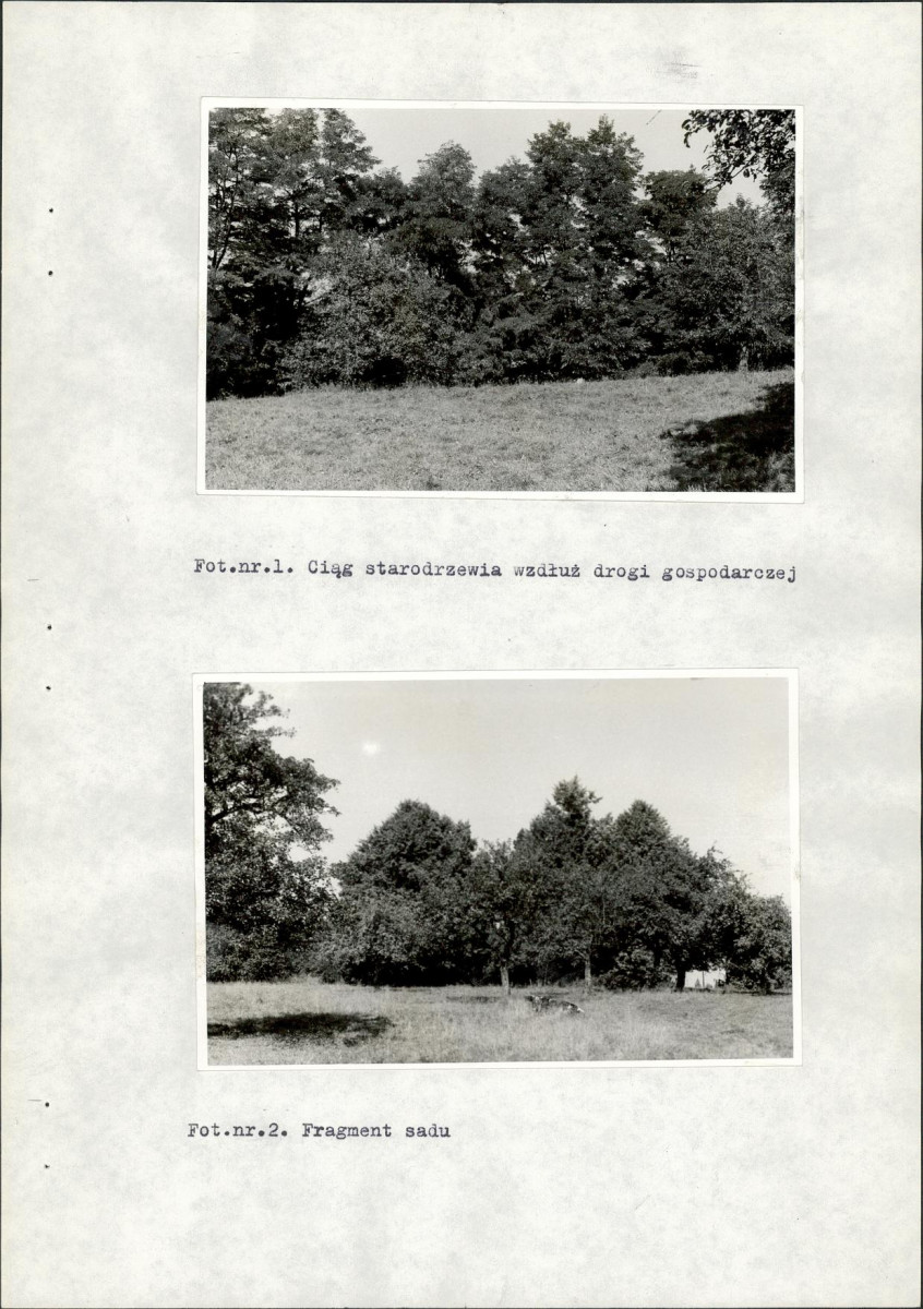 Ewidencja parkowa, skan nr 25
