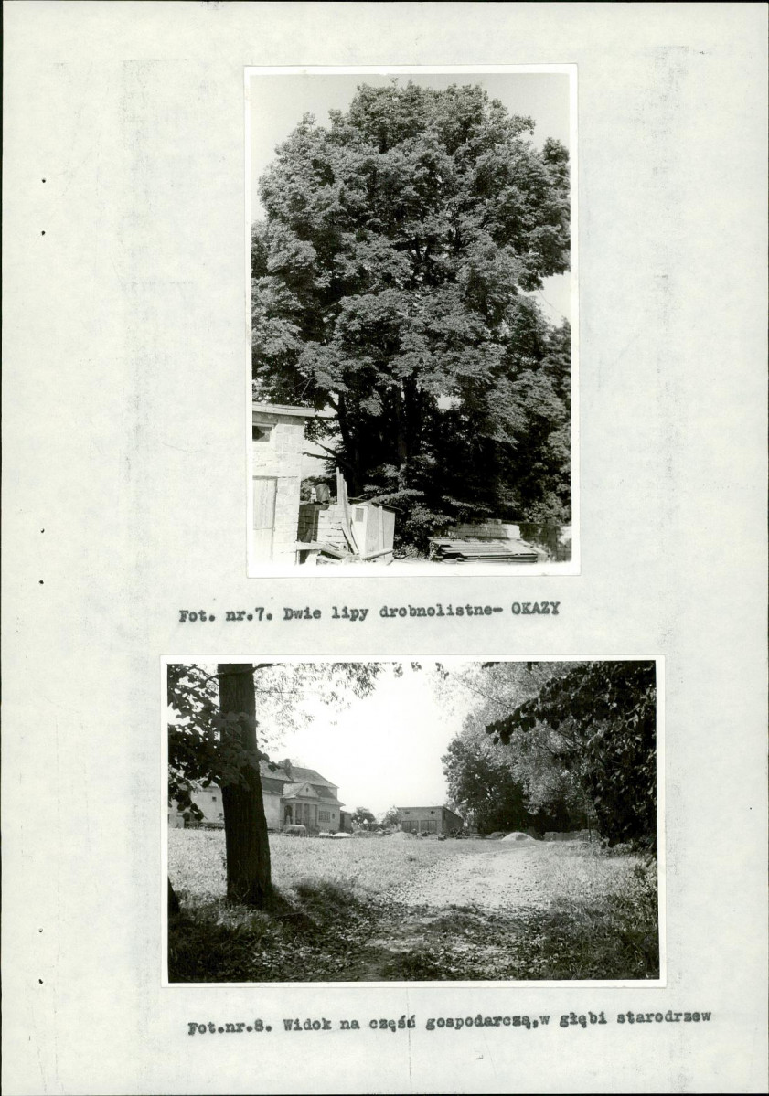 Ewidencja parkowa, skan nr 28
