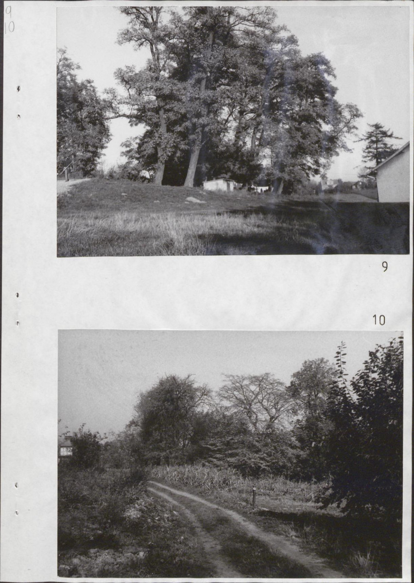Ewidencja parkowa, skan nr 23