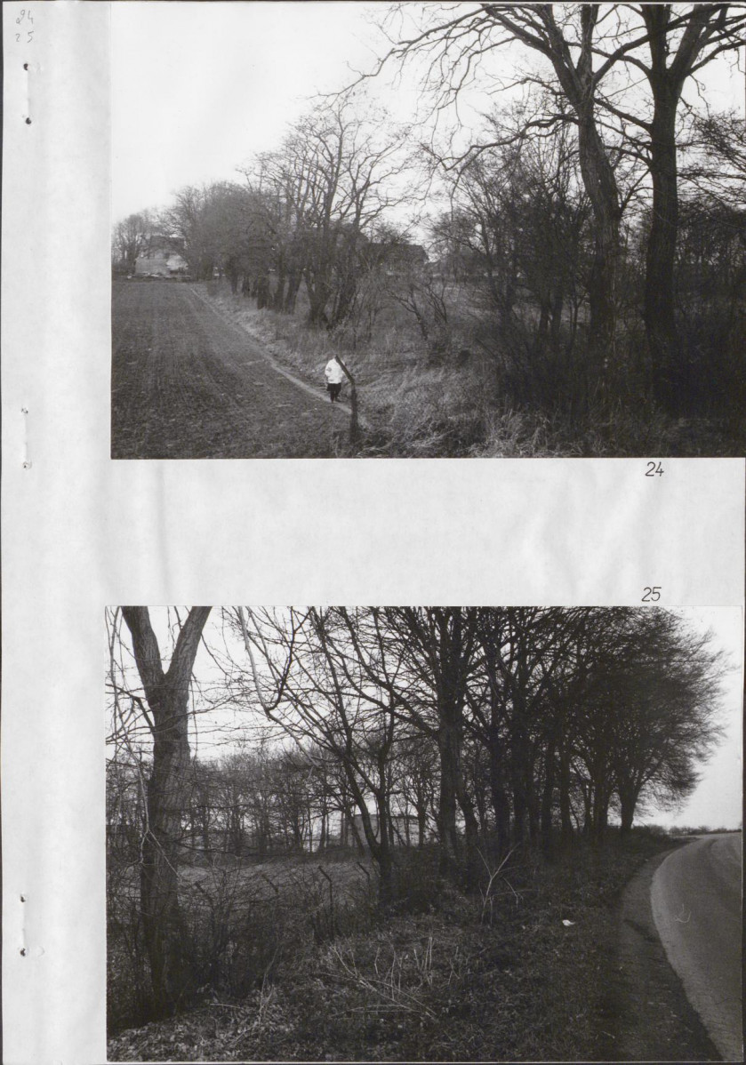 Ewidencja parkowa, skan nr 36