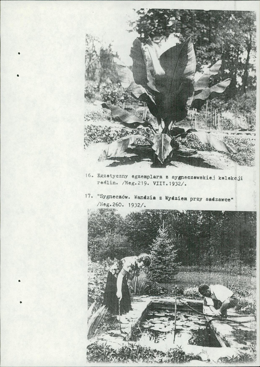 Ewidencja parkowa, skan nr 45