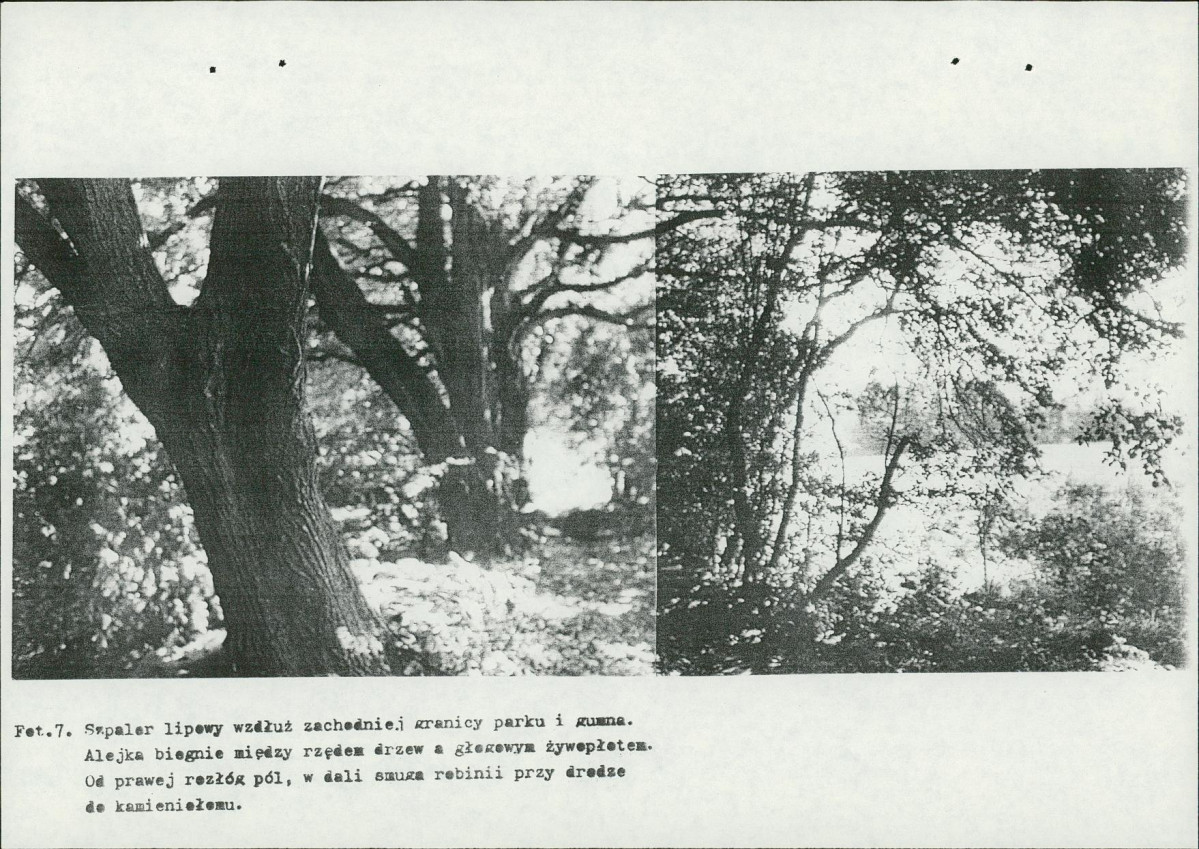 Ewidencja parkowa, skan nr 67