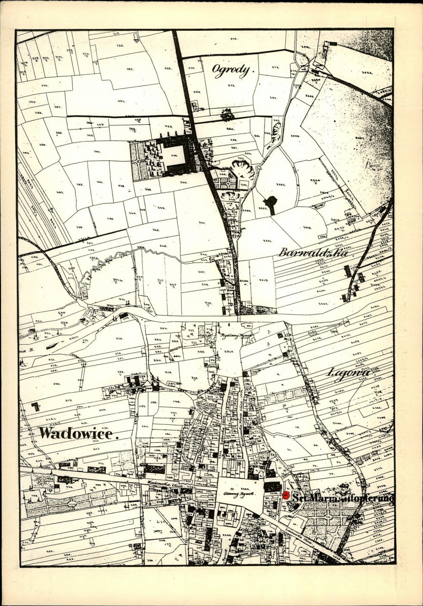 Karta biała, skan nr 22