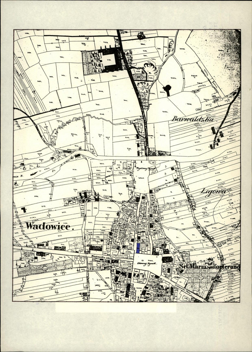 KB - Karta biała, skan nr 12