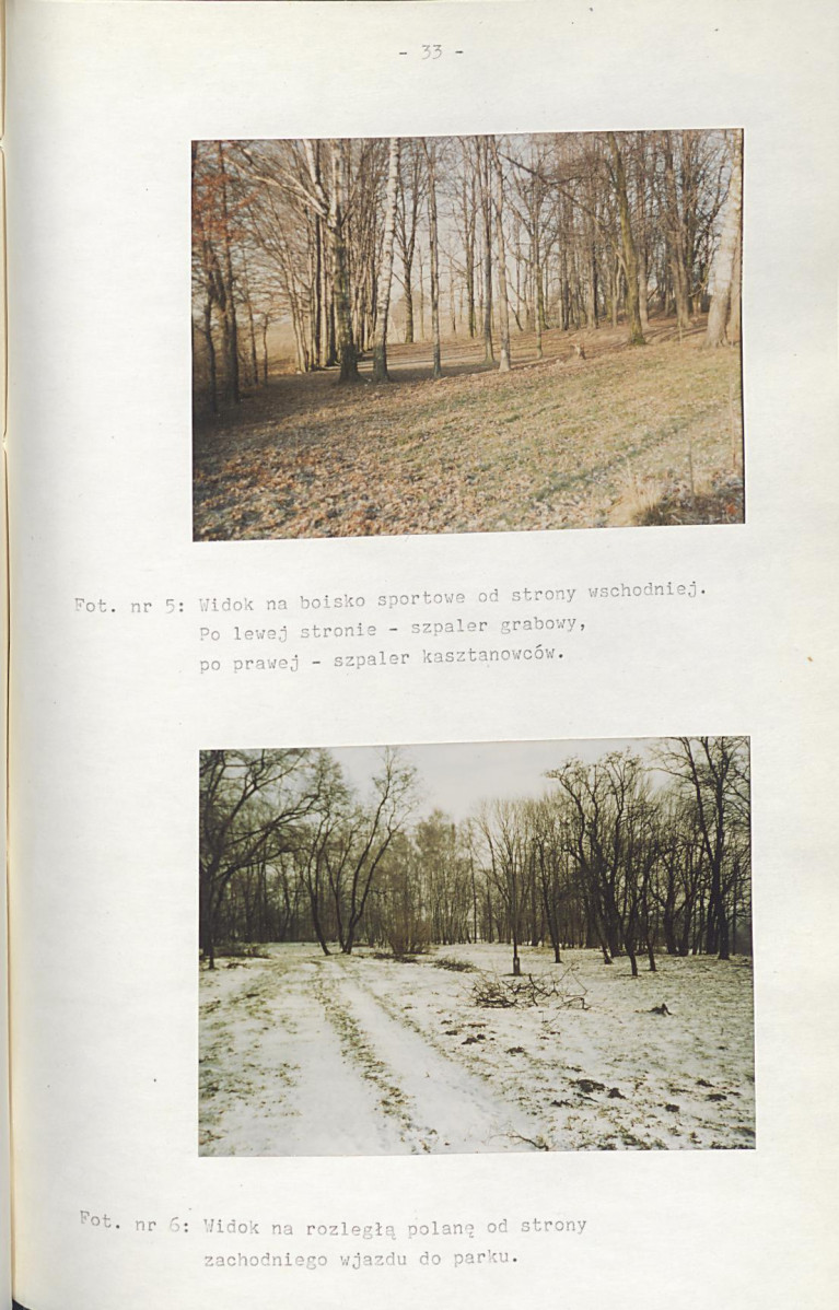 Ewidencja parkowa, skan nr 37