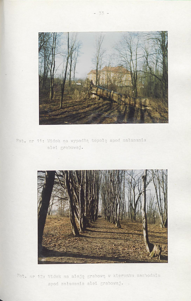 Ewidencja parkowa, skan nr 38