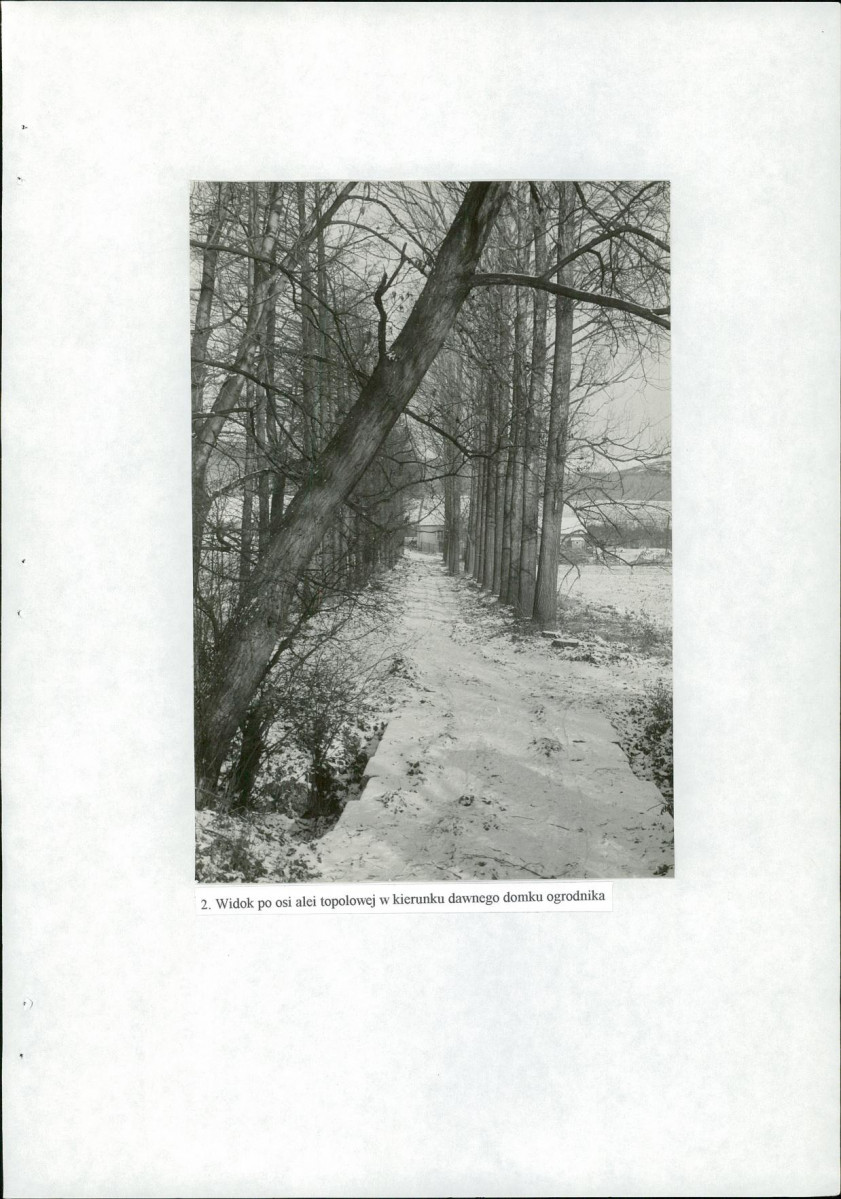 Ewidencja parkowa, skan nr 38