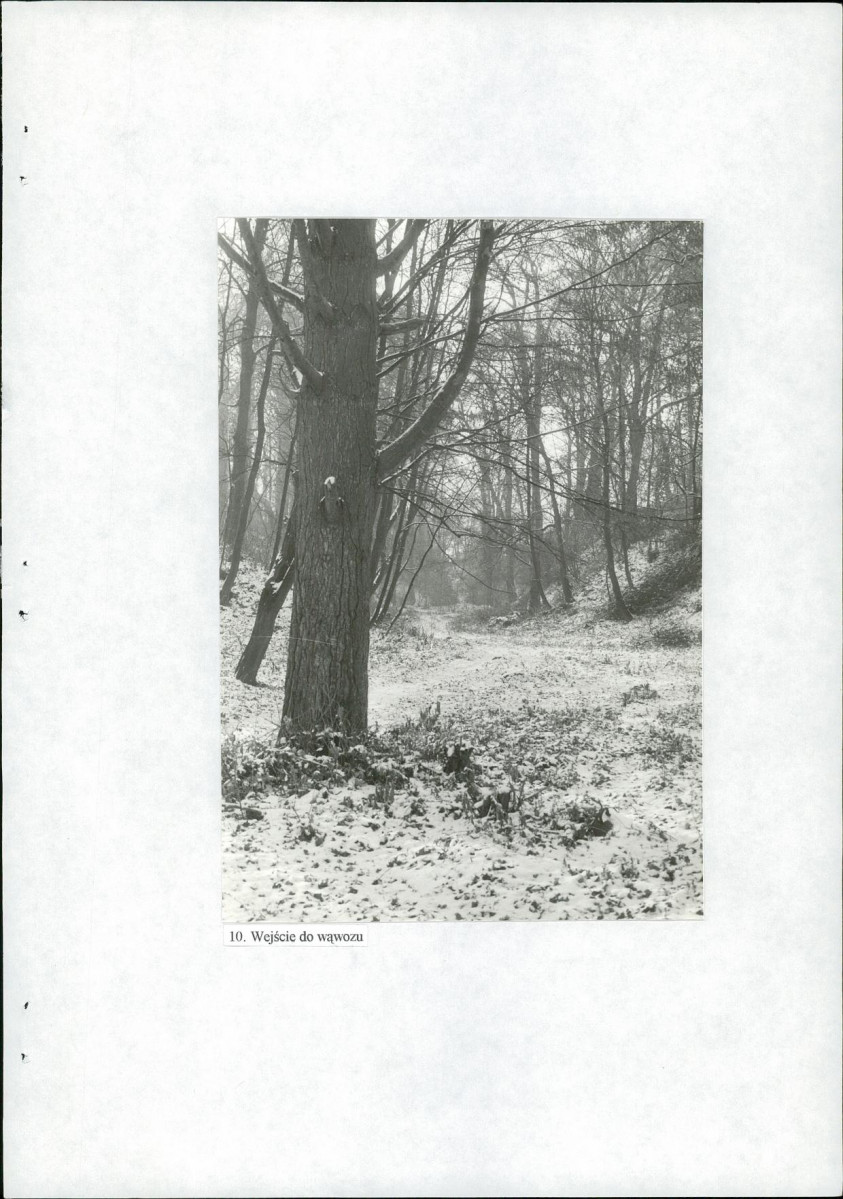 Ewidencja parkowa, skan nr 46