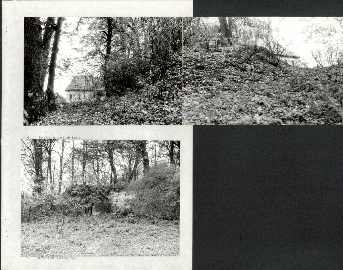 Ewidencja parkowa, skan nr 55