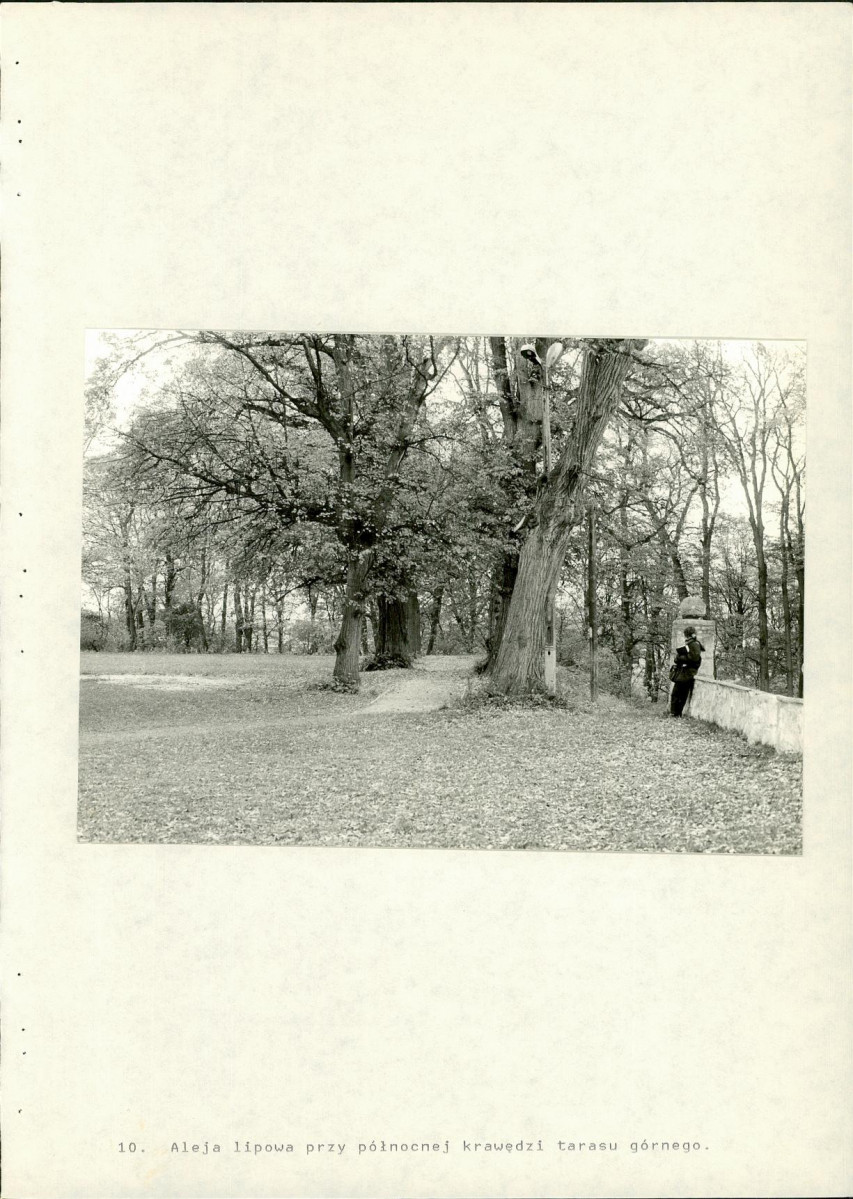 Ewidencja parkowa, skan nr 58