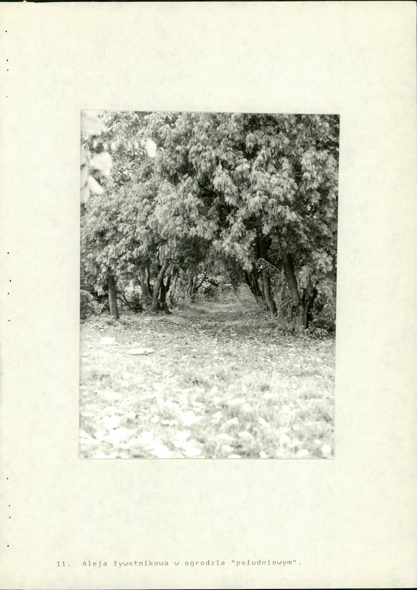 Ewidencja parkowa, skan nr 59