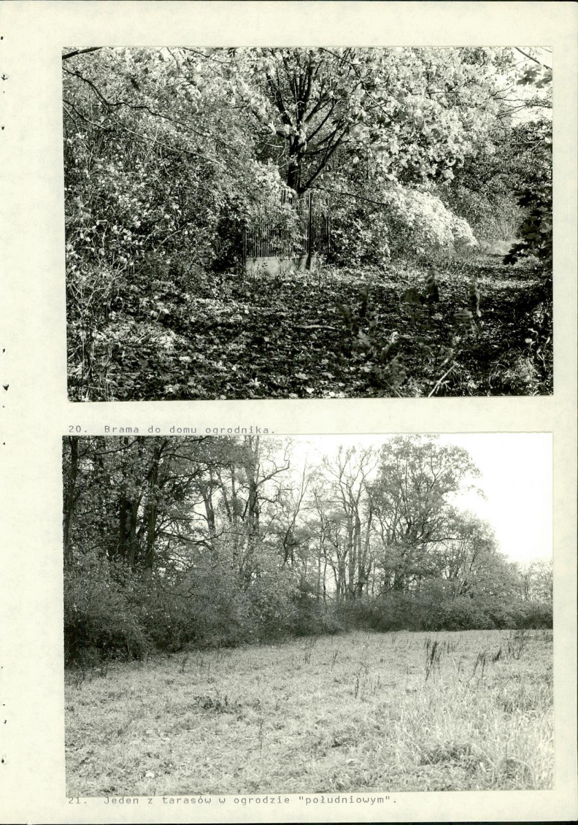 Ewidencja parkowa, skan nr 64