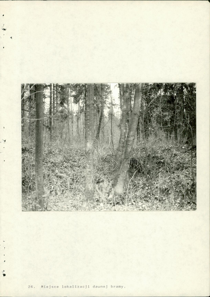 Ewidencja parkowa, skan nr 67