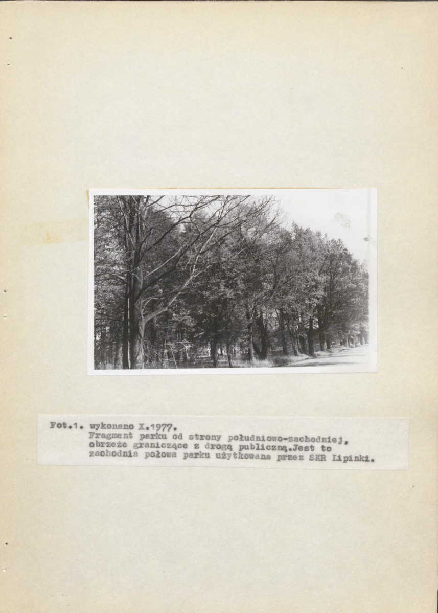 Ewidencja parkowa, skan nr 17