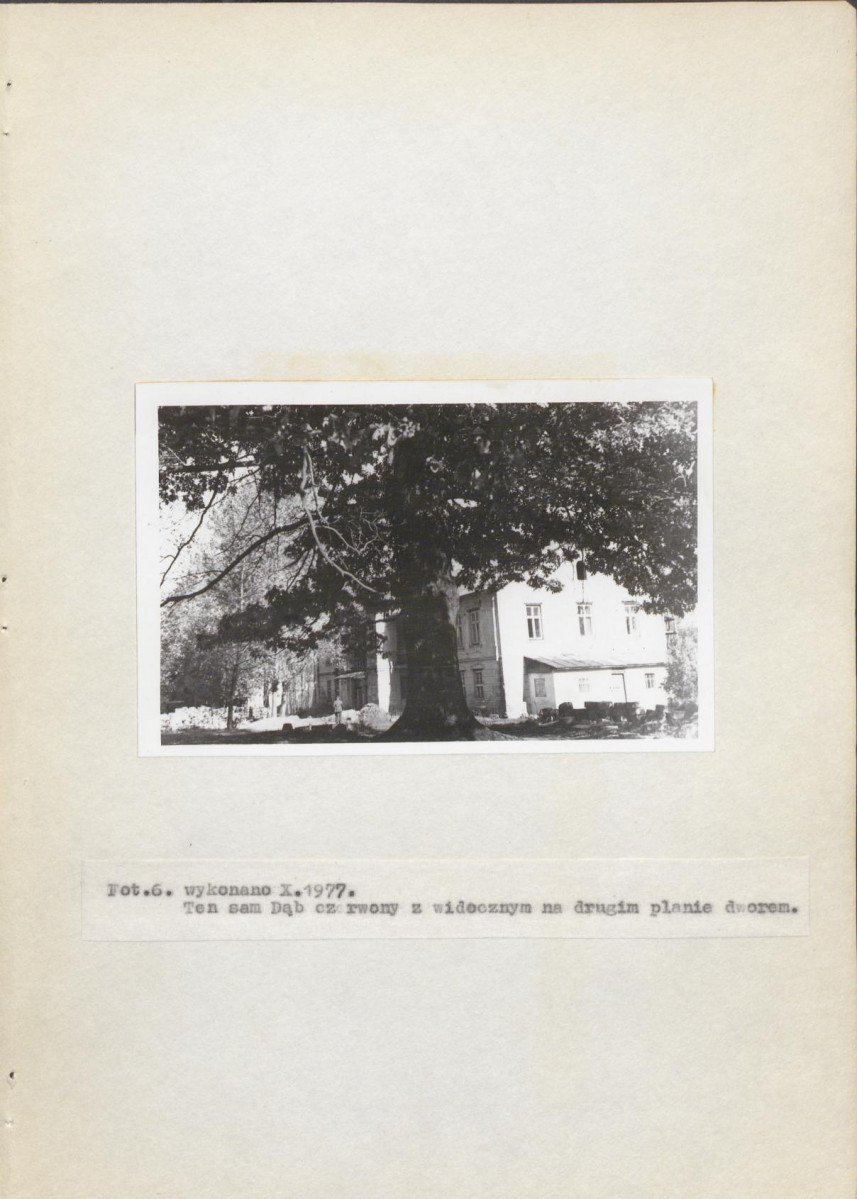 Ewidencja parkowa, skan nr 21