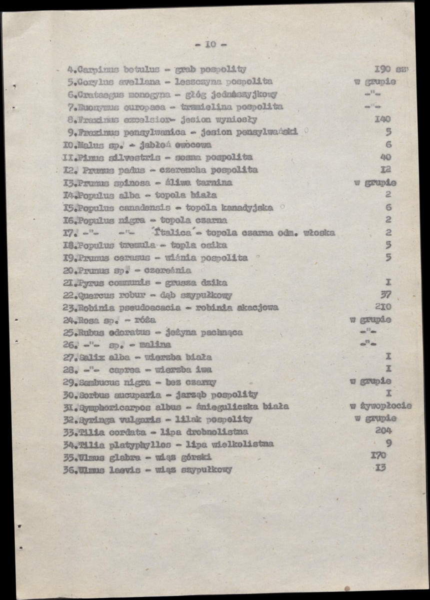 Ewidencja parkowa, skan nr 17