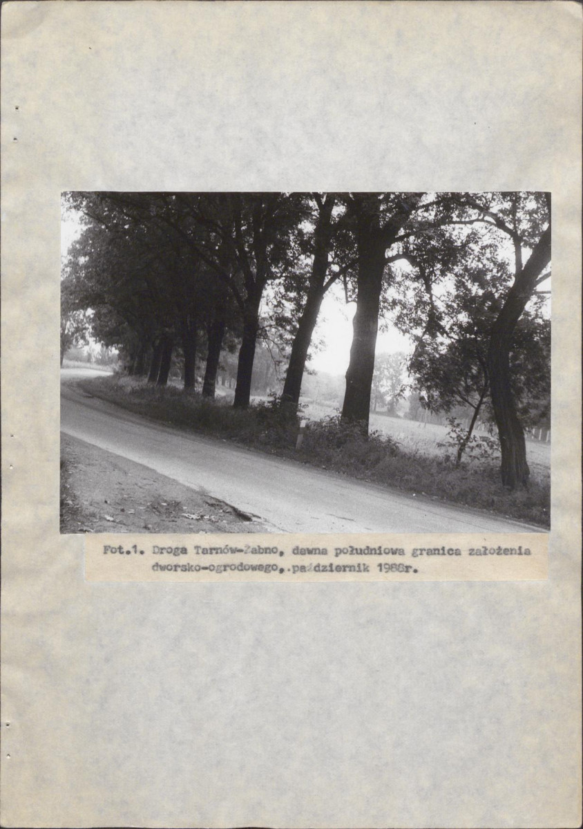Ewidencja parkowa, skan nr 25