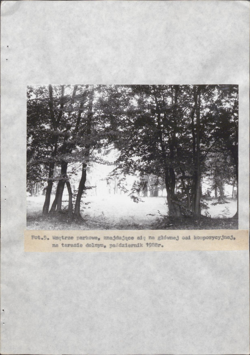 Ewidencja parkowa, skan nr 29