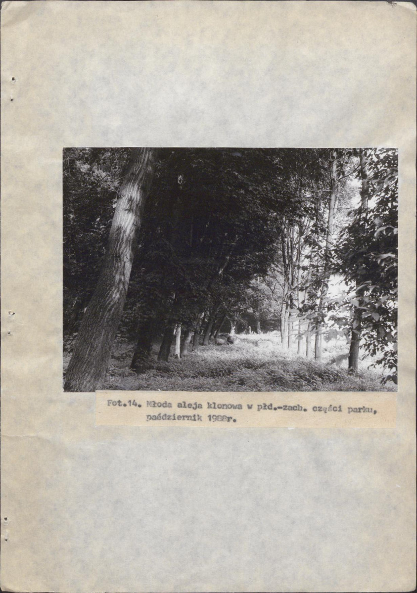 Ewidencja parkowa, skan nr 38