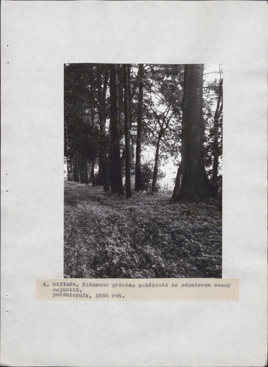 Ewidencja parkowa, skan nr 28