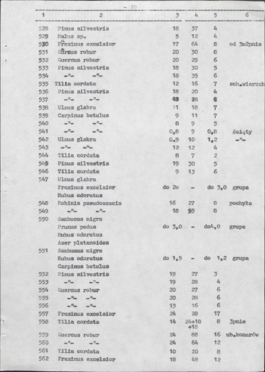 Ewidencja parkowa, skan nr 62