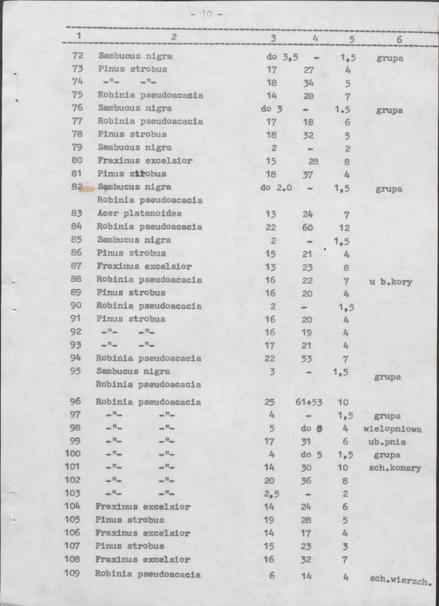 Ewidencja parkowa, skan nr 49