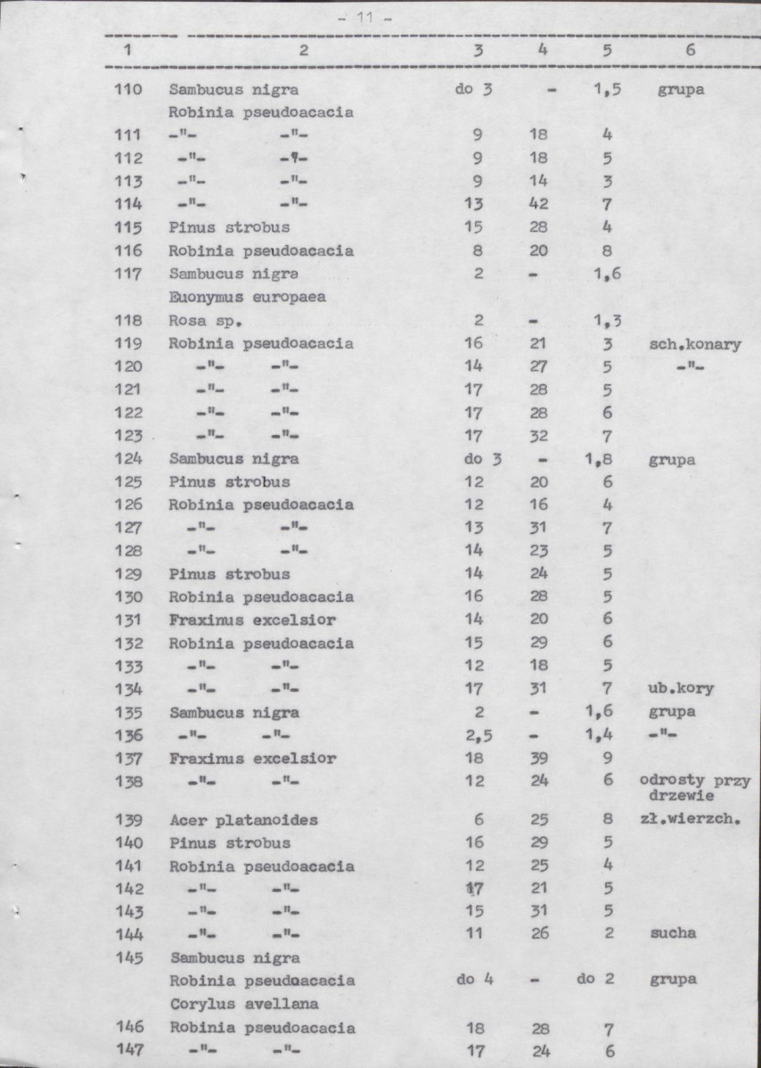 Ewidencja parkowa, skan nr 50