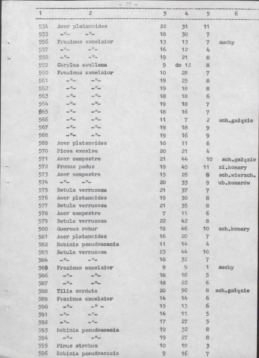Ewidencja parkowa, skan nr 61
