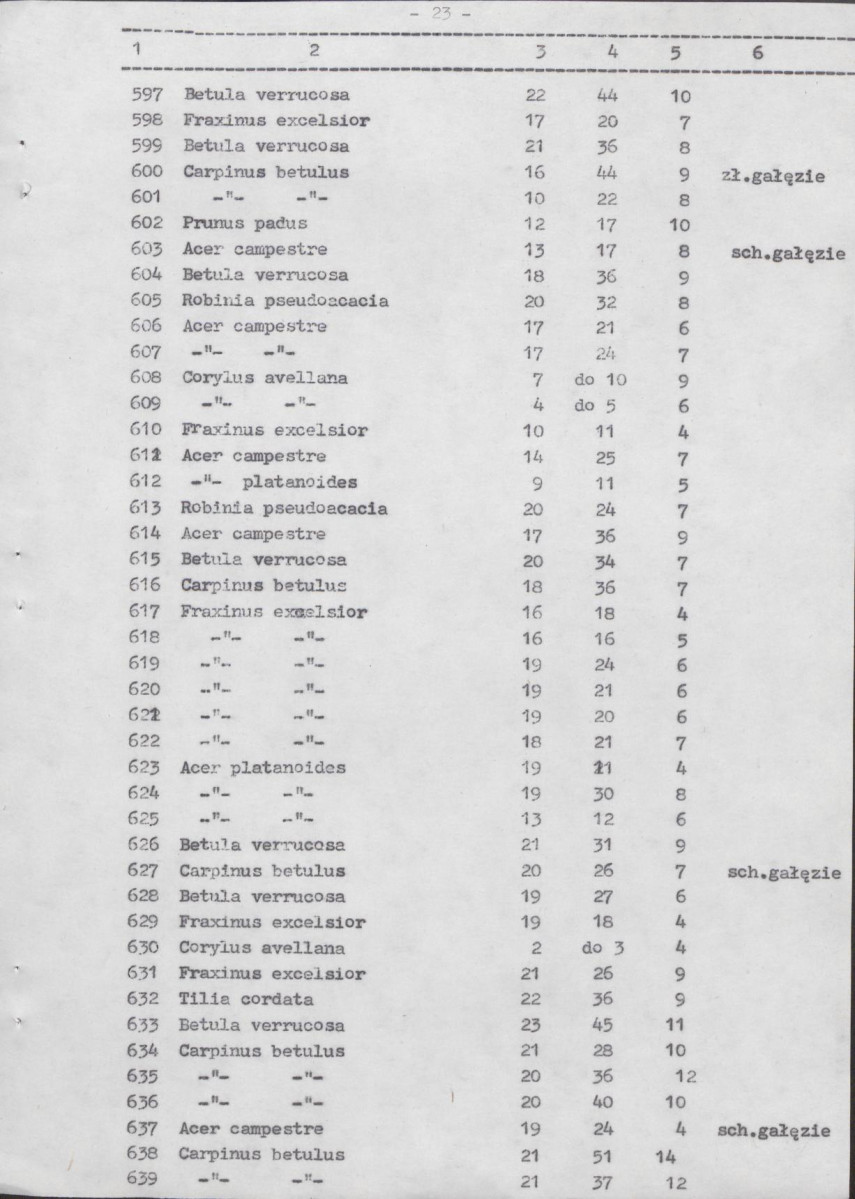 Ewidencja parkowa, skan nr 62