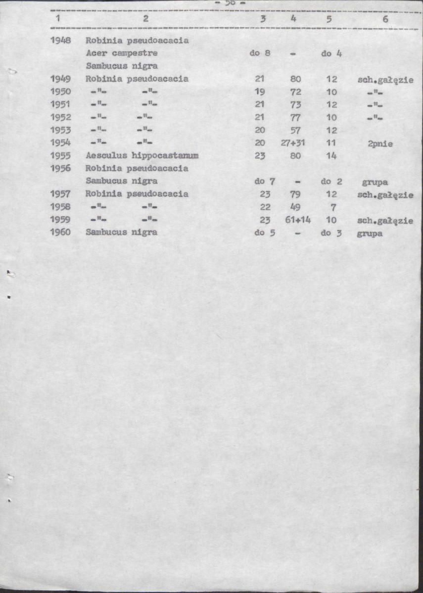 Ewidencja parkowa, skan nr 93