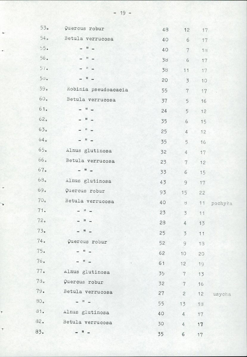 EP - Ewidencja parkowa, skan nr 29