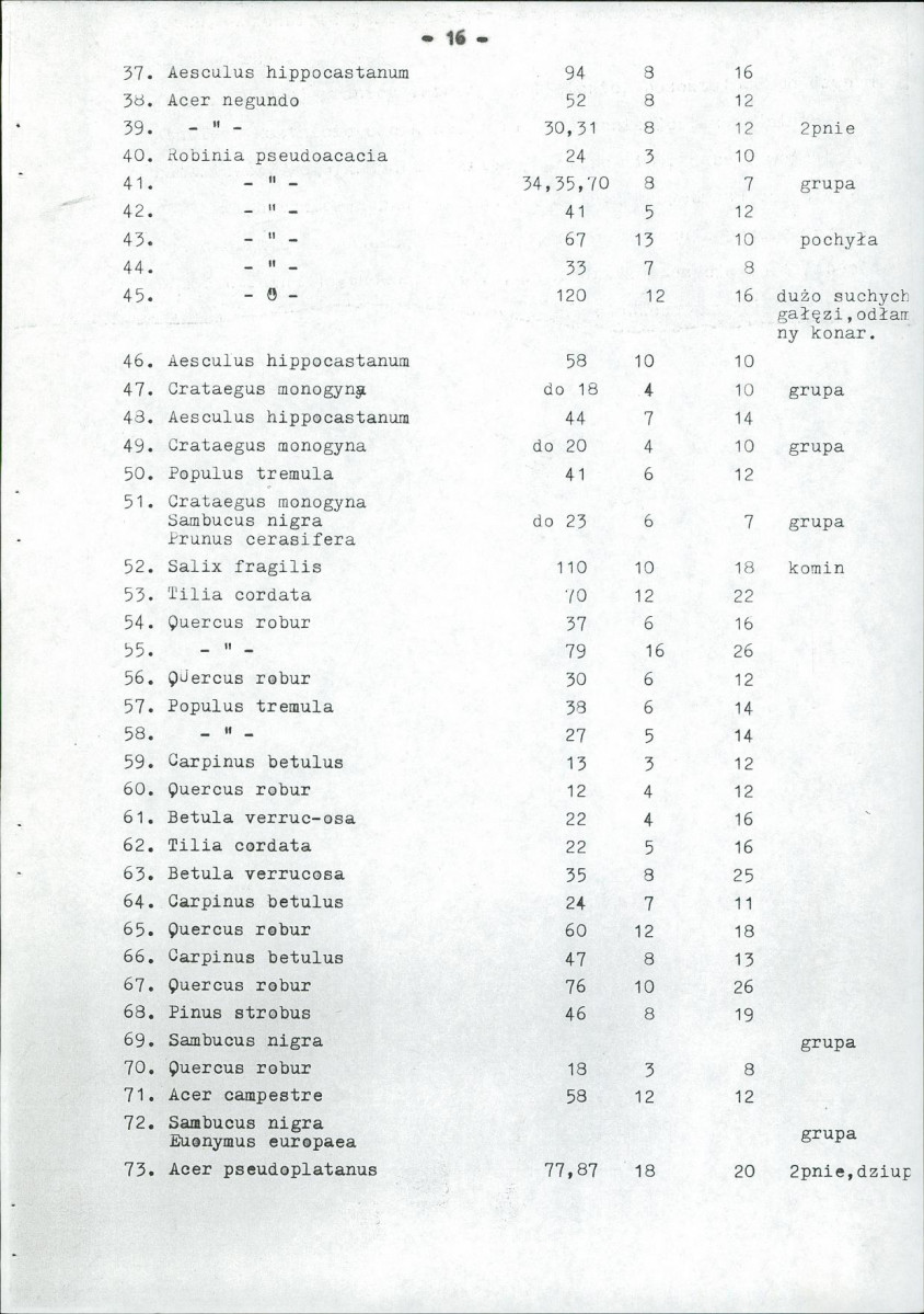 EP - Ewidencja parkowa, skan nr 21