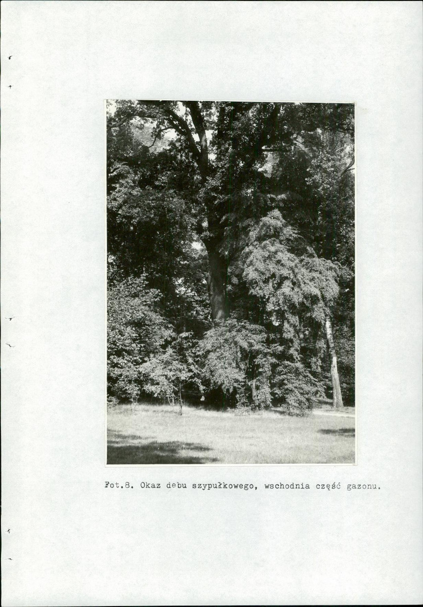 EP - Ewidencja parkowa, skan nr 54