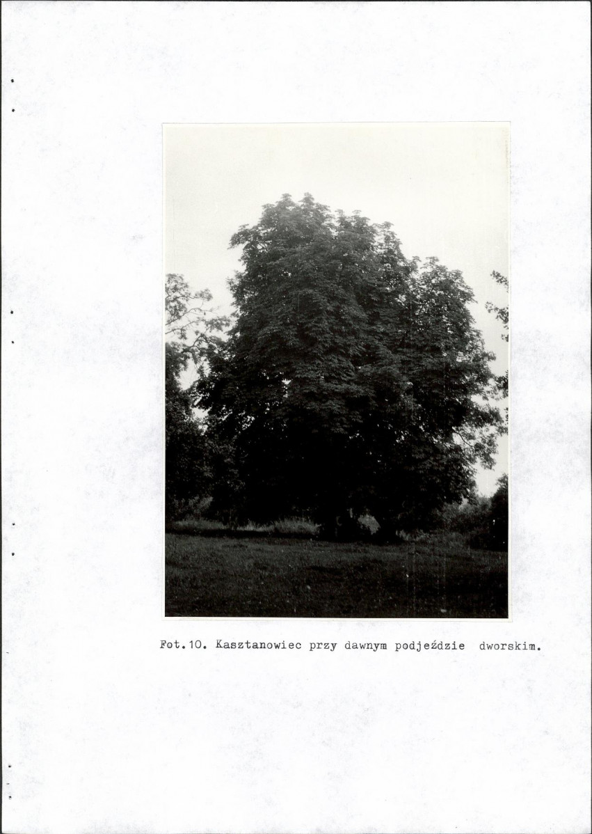 EP - Ewidencja parkowa, skan nr 39