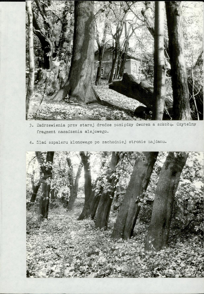 Ewidencja parkowa, skan nr 34