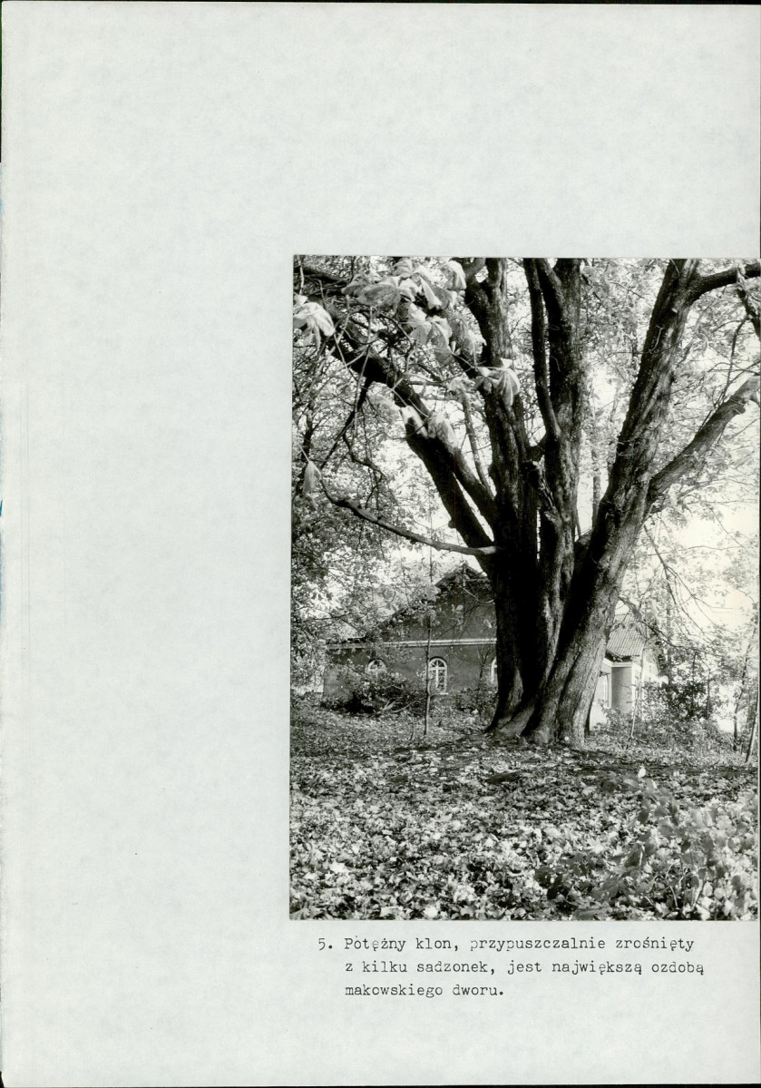 Ewidencja parkowa, skan nr 35