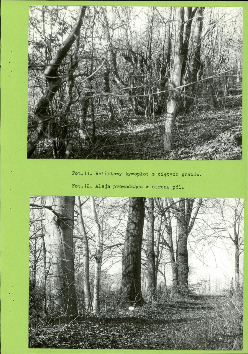 EP - Ewidencja parkowa, skan nr 39