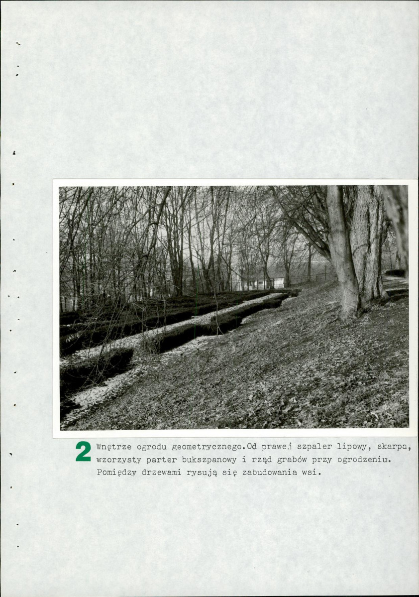 Ewidencja parkowa, skan nr 41