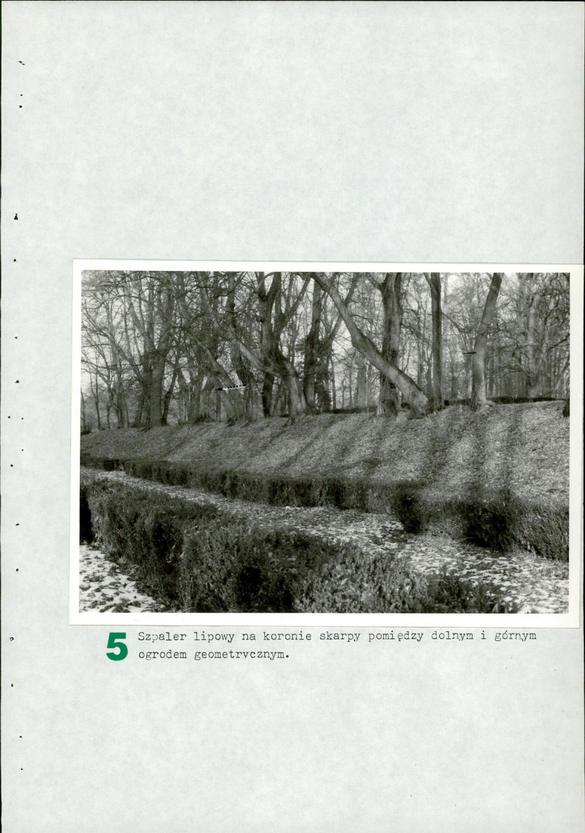 Ewidencja parkowa, skan nr 44