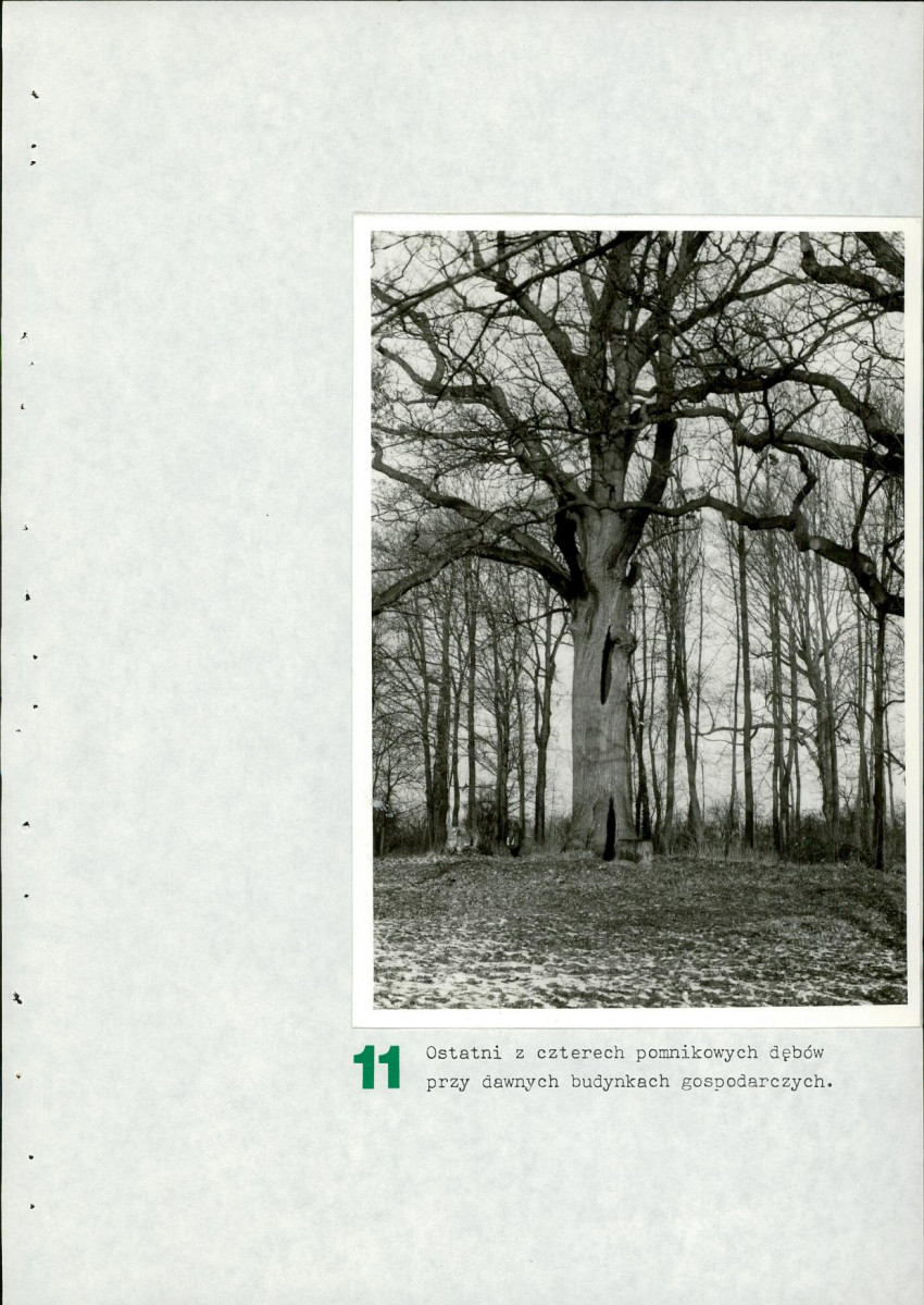 Ewidencja parkowa, skan nr 50